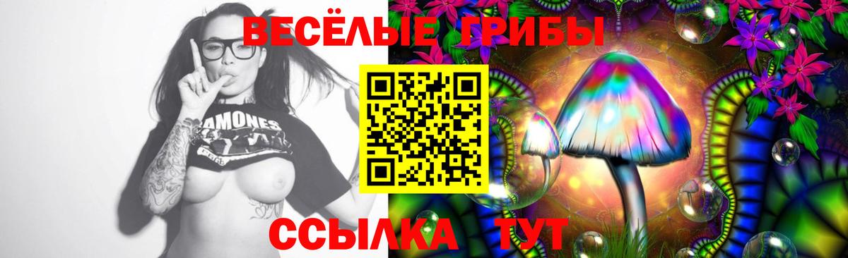 Холмск  Галлюциногенные грибы Magic Shrooms  Вход с VPN 